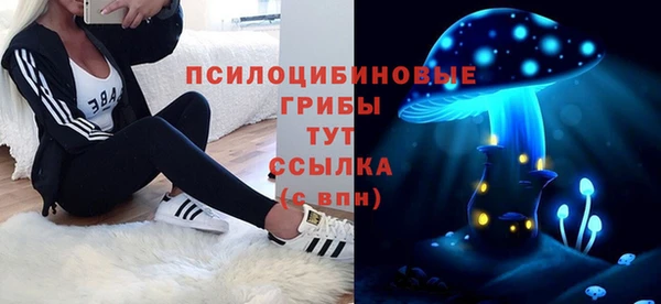 МДПВ Армянск